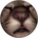 Donni Syaputra profile picture
